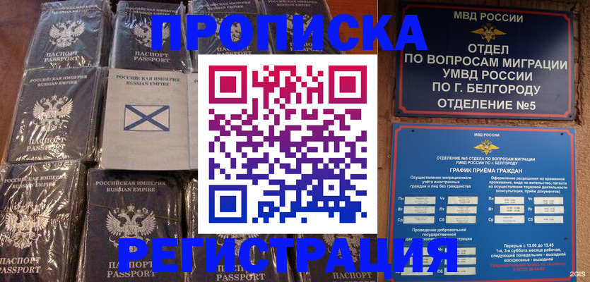 прописка гарантия в Тынде
